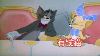 猫和老鼠s2爆料视频,经典角色新篇章，笑料百出引期待